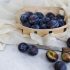 Electric Coffee Grinders – Which Electric Coffee Grinder Is Right For You?